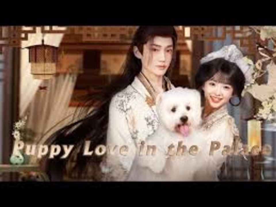 Puppy Love In The Palace S - Full Movie
