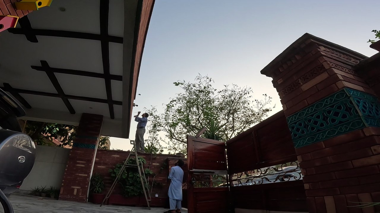 Work Hard Party Harder