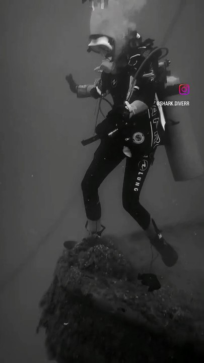 Diving off UAE coasts