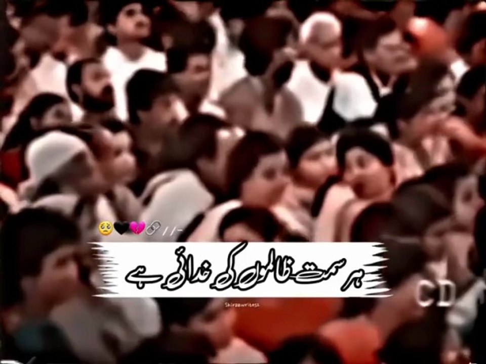 Poetry Club: Where Words Come Alive ✍️