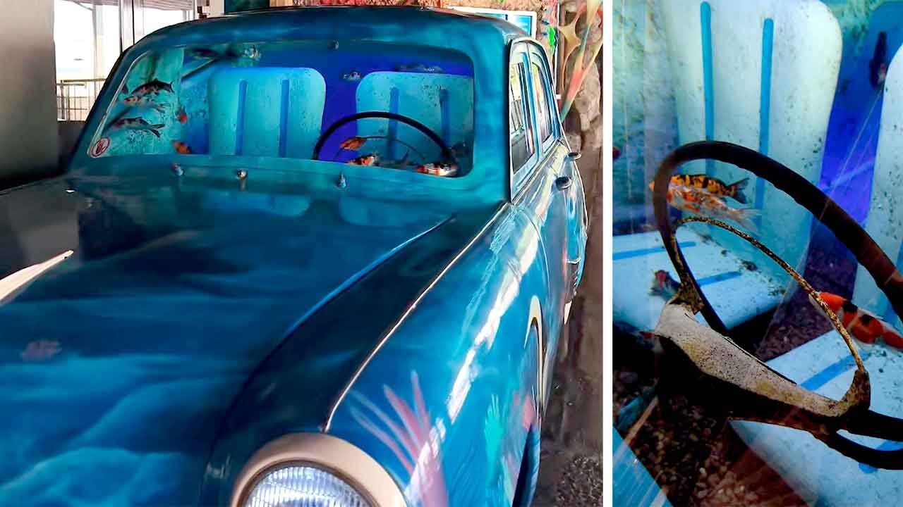 Student oppdager bil omgjort til akvarium med fisk – video går viralt på TikTok