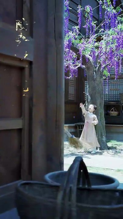 抖音新剧上线#陆弃娘传 (下)