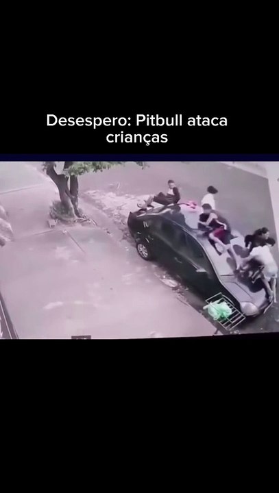 Crianças sobem em carro para escapar de cão pitbull