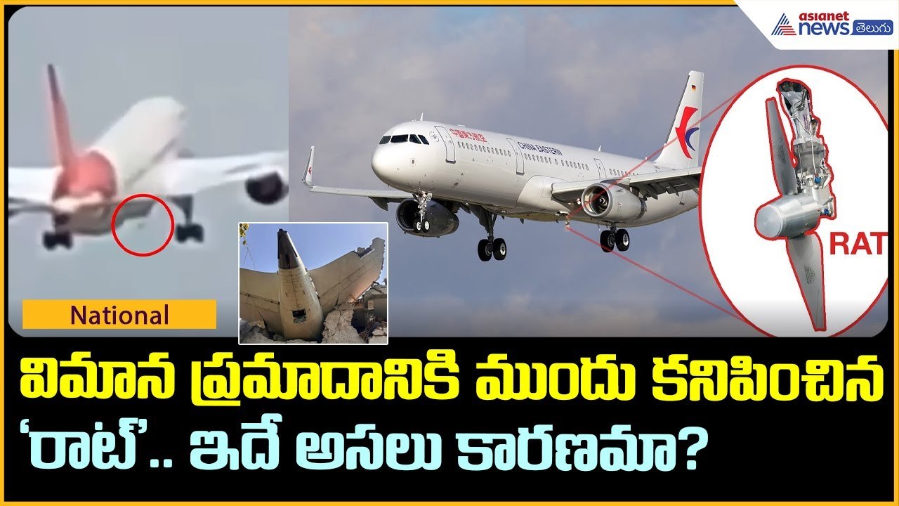విమాన ప్ర‌మాదానికి ముందు క‌నిపించిన ‘రాట్’.. ఇదే అస‌లు కార‌ణ‌మా? | Asianet News Telugu