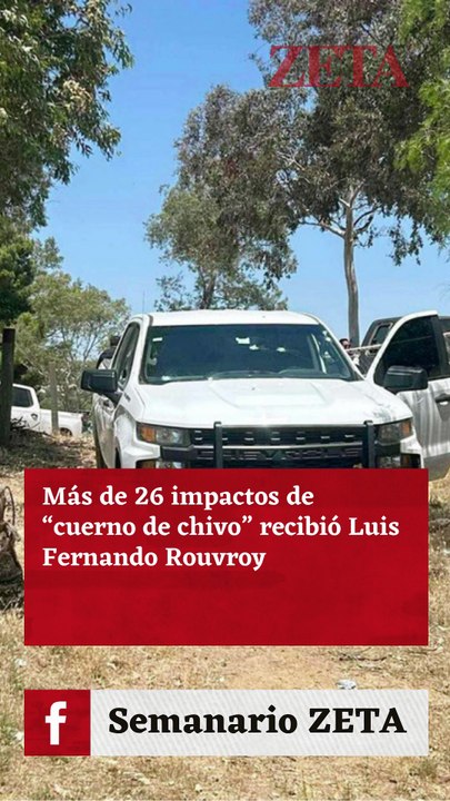 Venganza, narco e invasión, Hipótesis en crimen de Rouvroy.