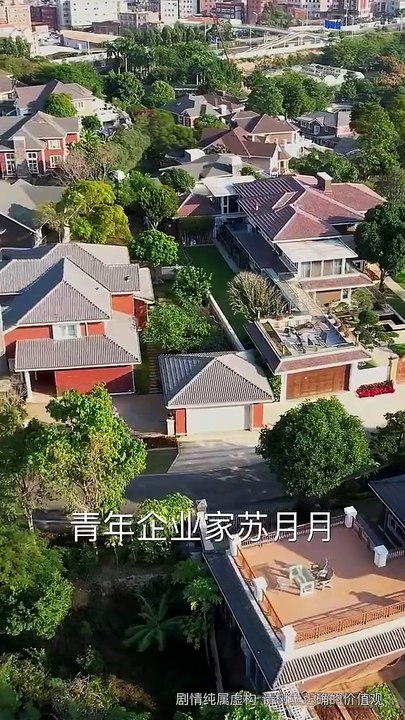 【短剧合集】 萌娃创业，捡个BOSS当小弟