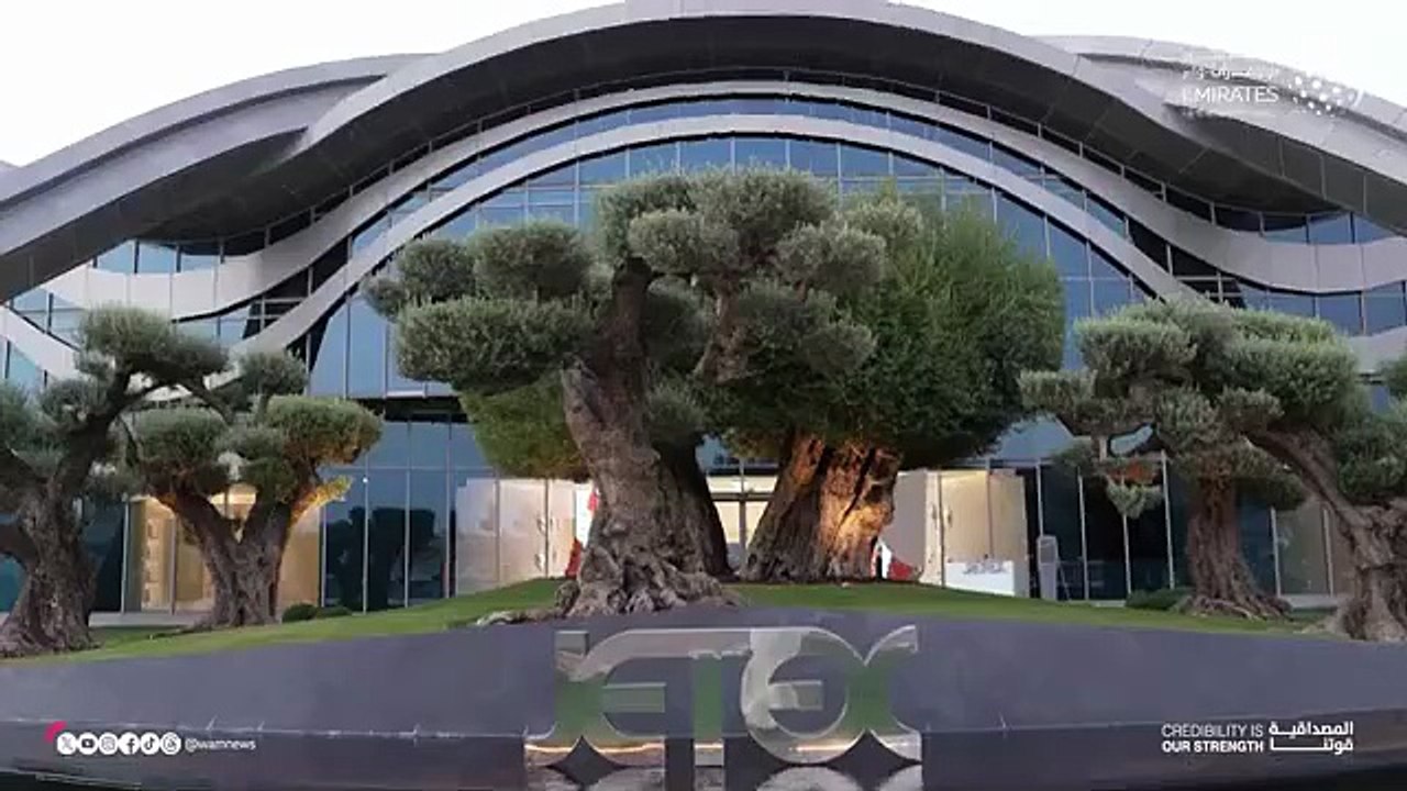 Evacuated Palestinian boy