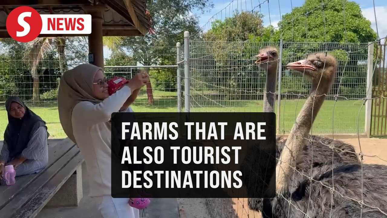 When farms become tourist destinations