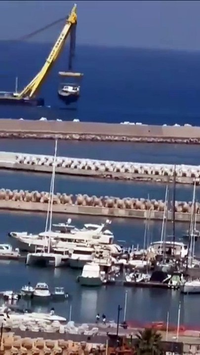 Il video del trasporto del Bayesian