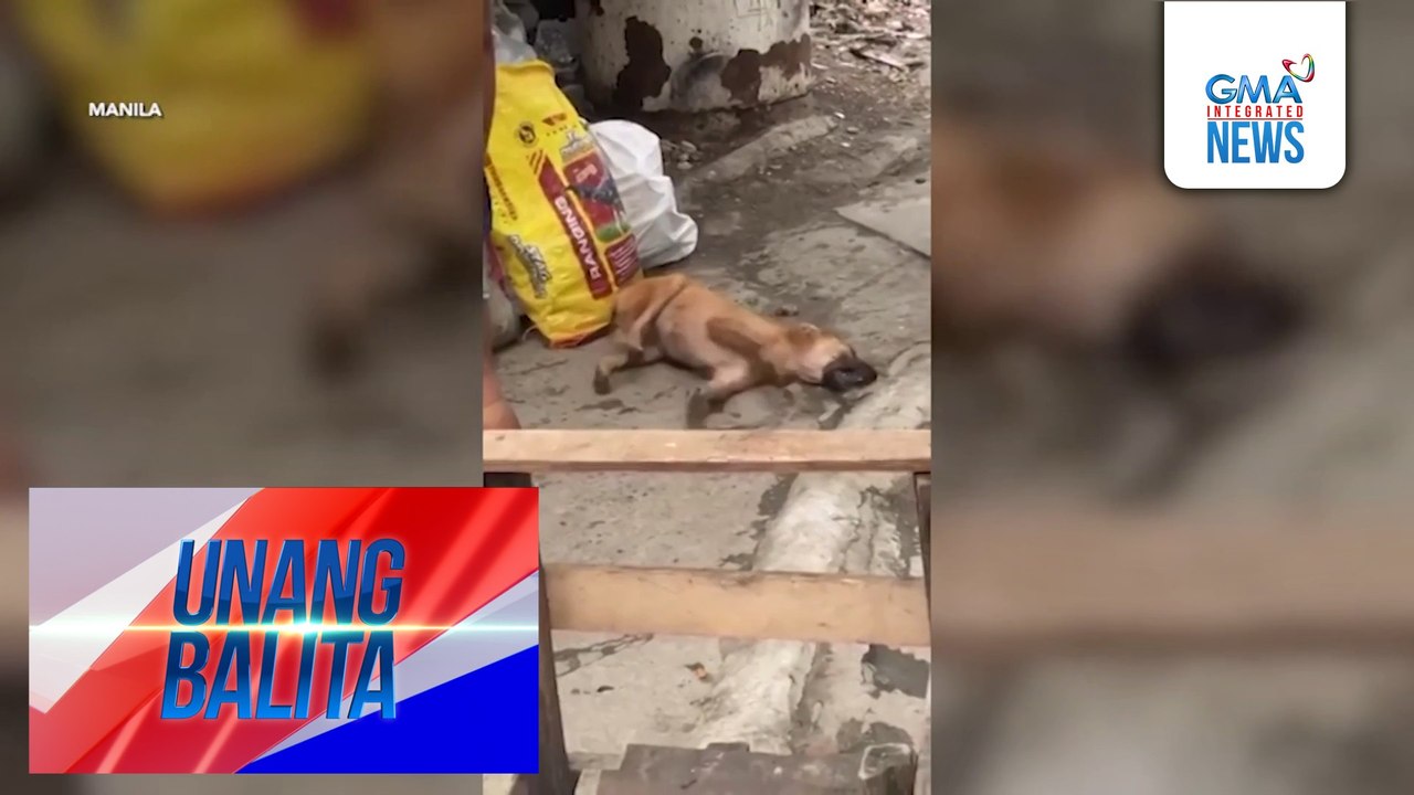 Aso, pinagpapalo ng lalaking nag-amok bunsod umano ng away-pamilya | Unang Balita