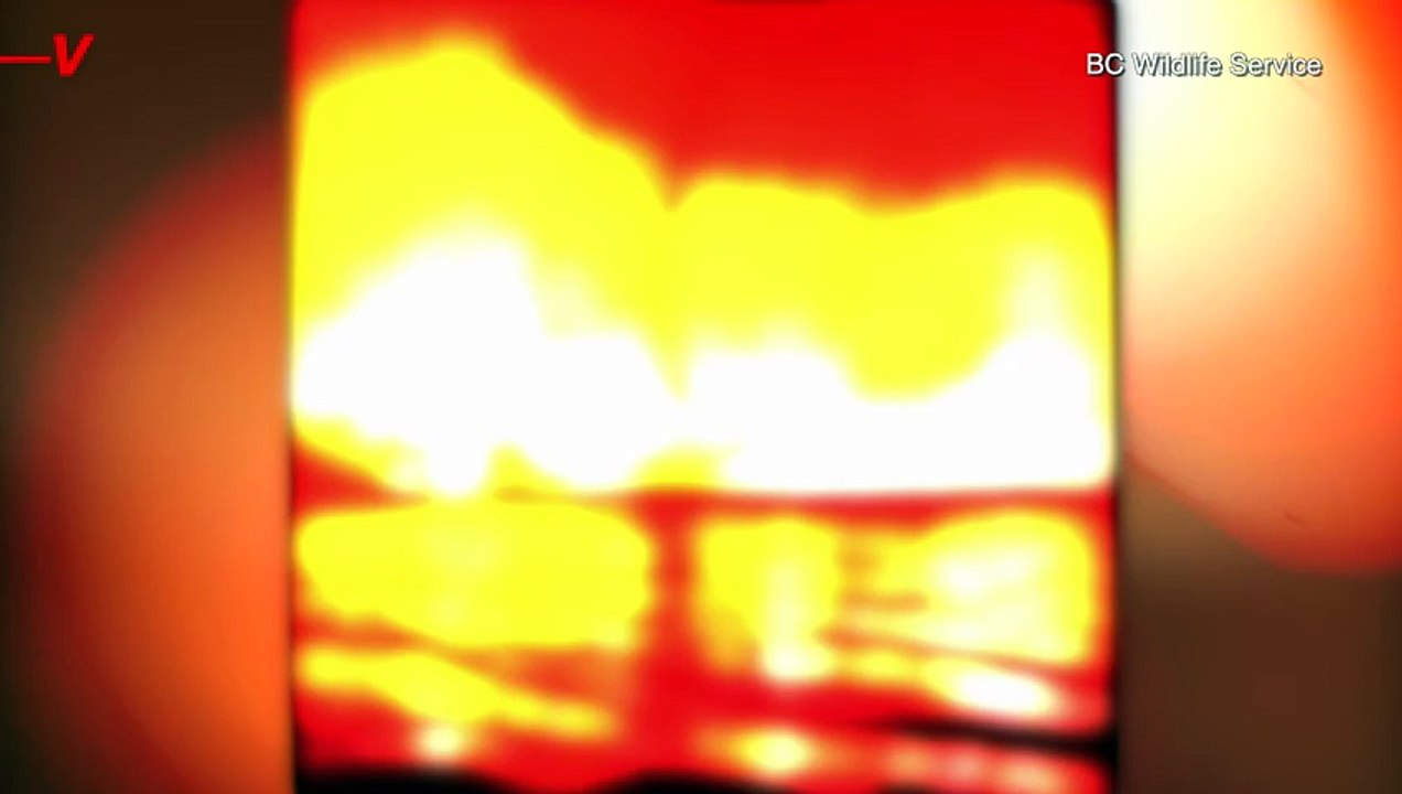 Check Out This Fire Whirl That Took Over Canada