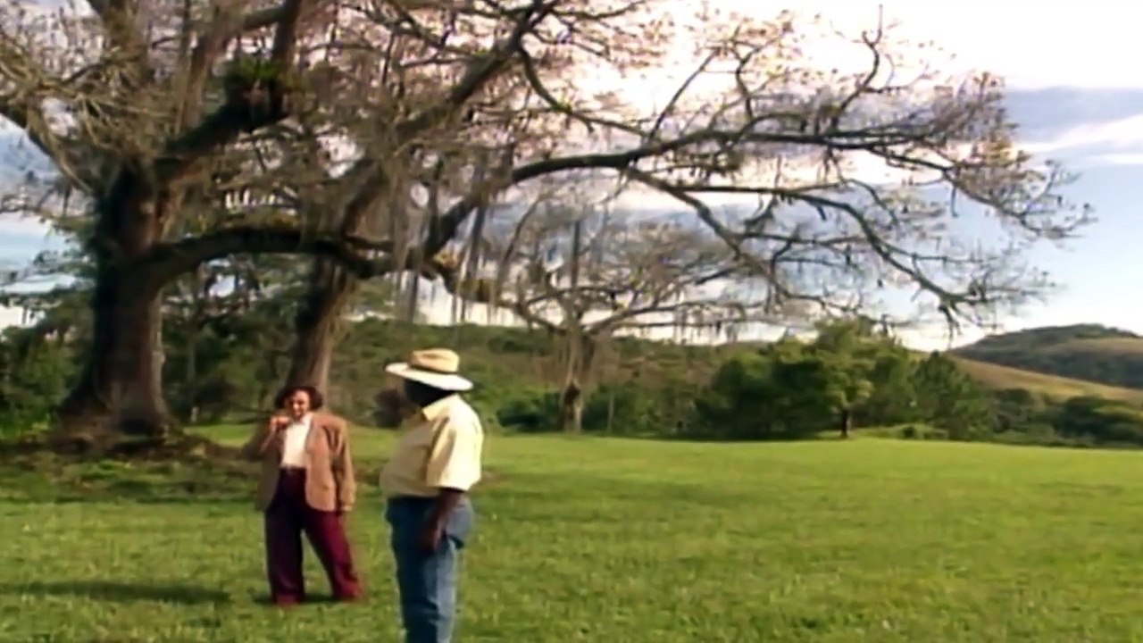 Alexandre na fazenda