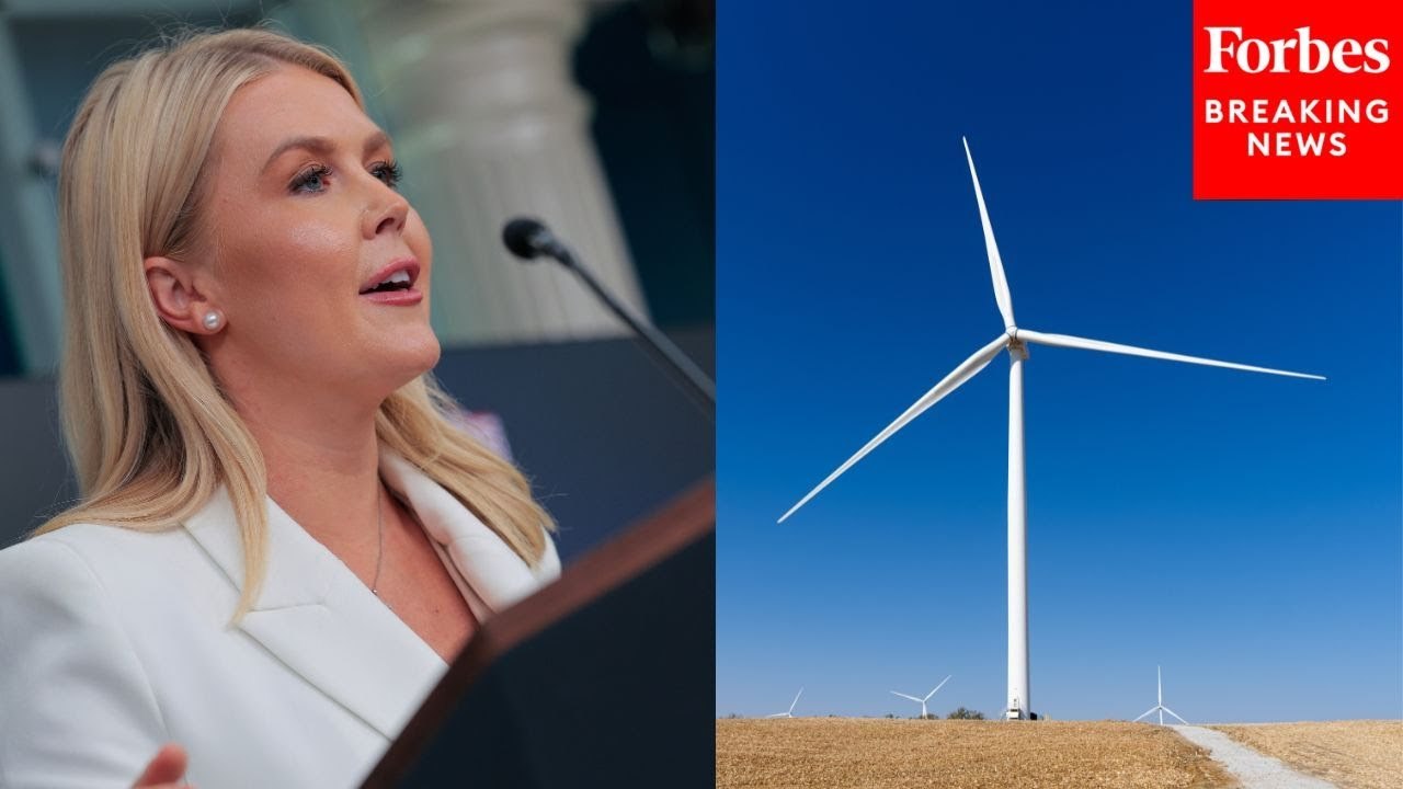 Karoline Leavitt Asked About Proposed Taxes On Renewable Energy Projects