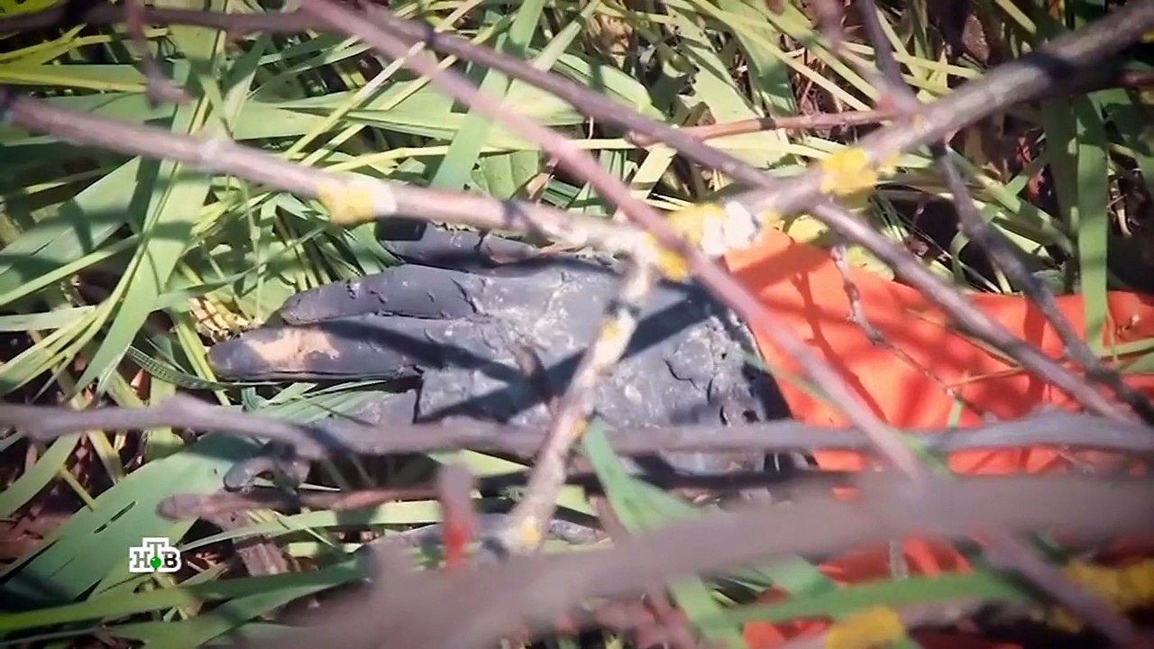 «Отверженный» | Фильм из цикла «Следствие вели…» с Леонидом Каневским