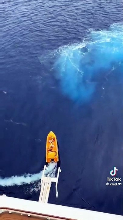 Bimba cade da nave da crociera