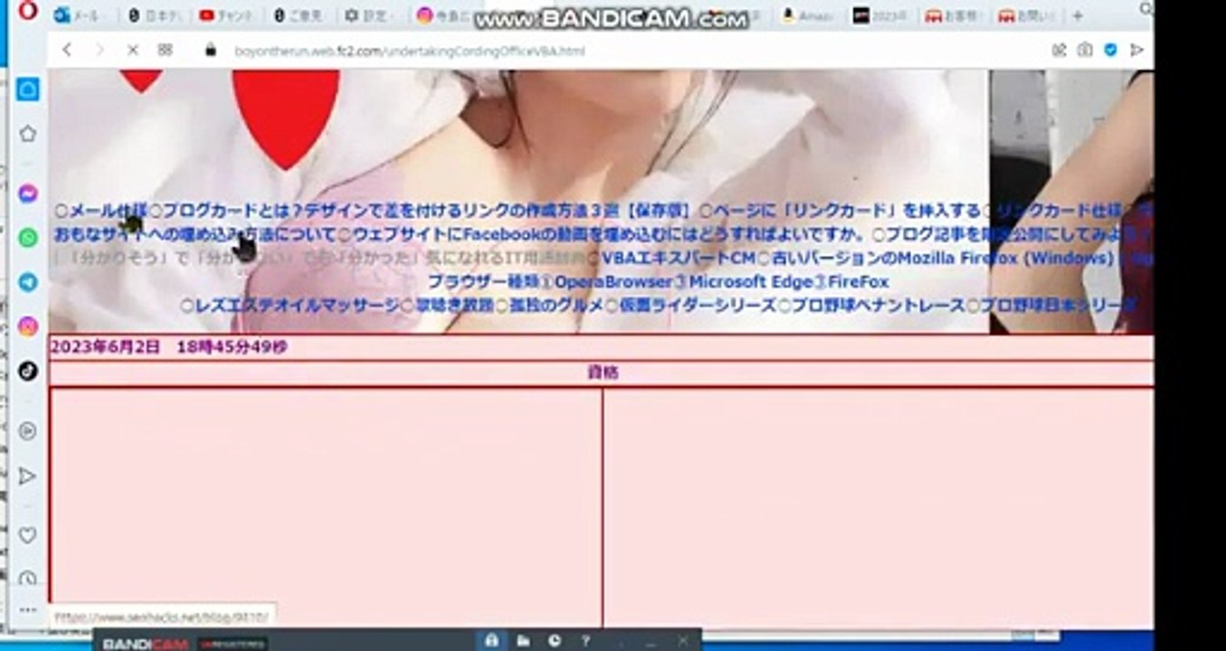 bcam VBAエキスパートサイト