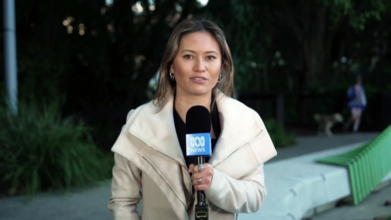 Strong winds batter parts of Queensland's south-east corner