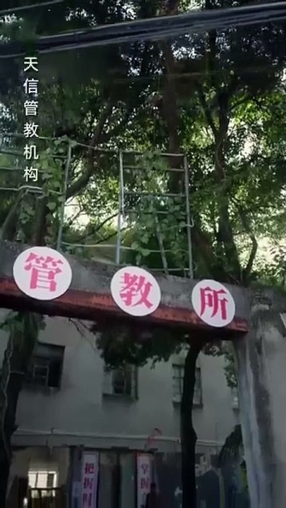 The Fake Sister's Game Fyp Fyp