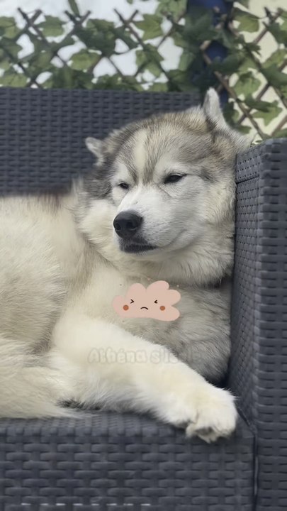 On va trouver ma Toun 💛🐻