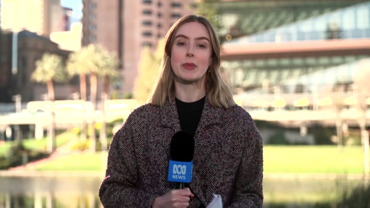 Airline apologises as it investigates cyber attack affecting millions