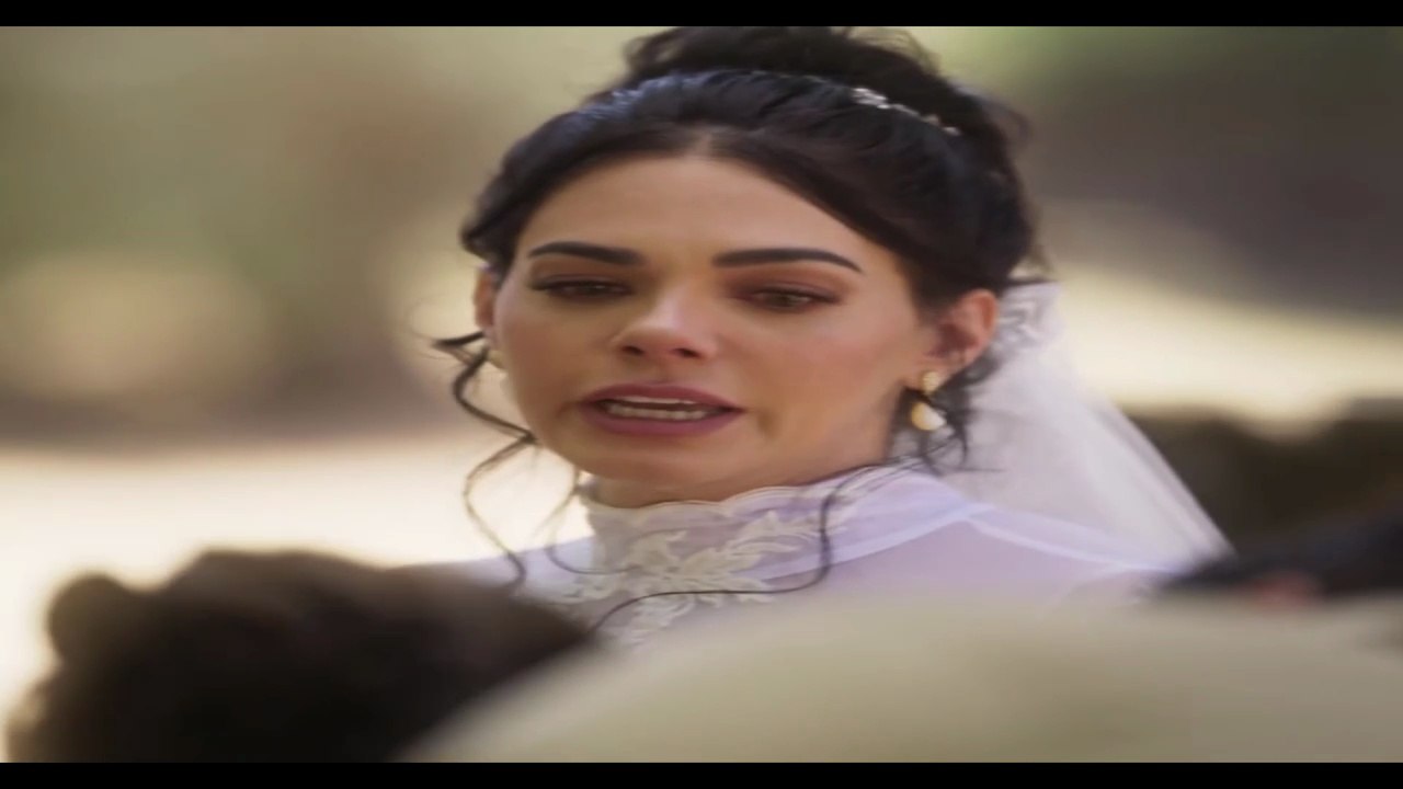 Amanecer  Capitulo 1