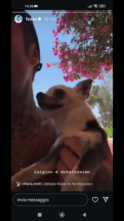 Fedez e Luigino il cane superdotato