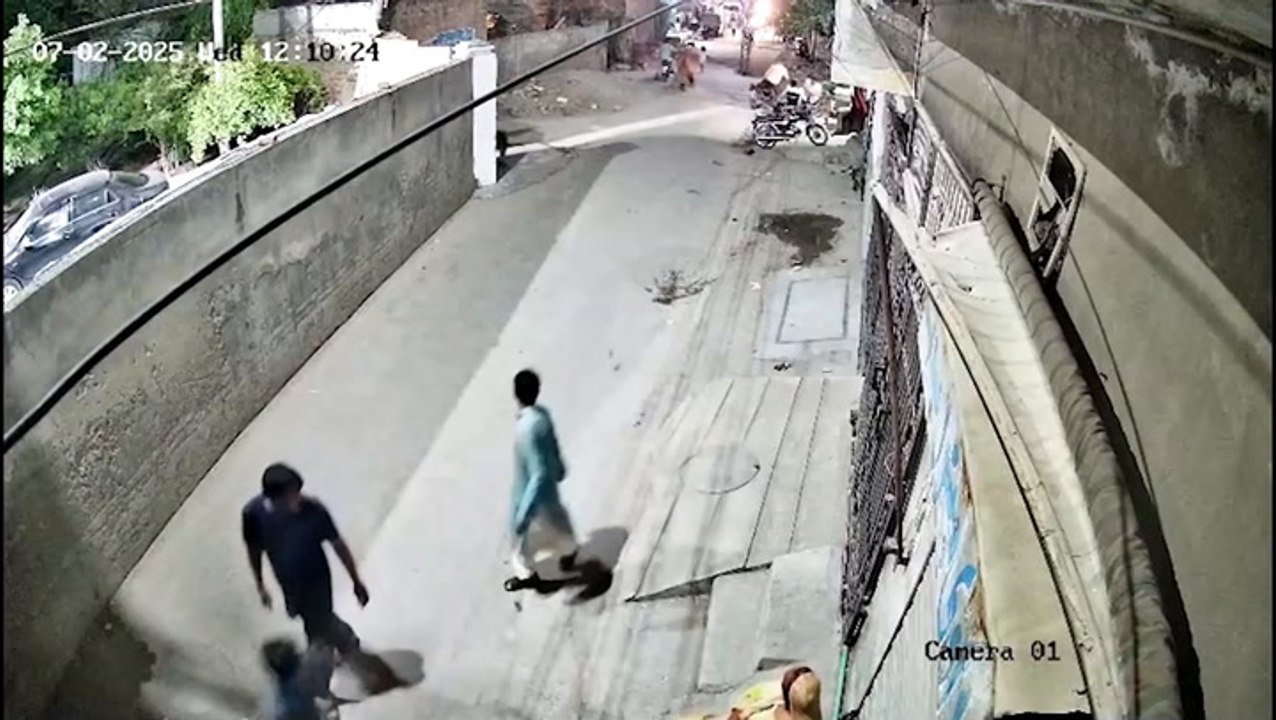 Pet lion escapes and attacks a woman and two children in the street