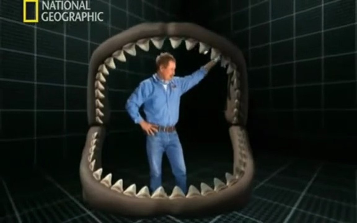 Monstruos Marinos: Los Tiburones que Reinaron en el Océano