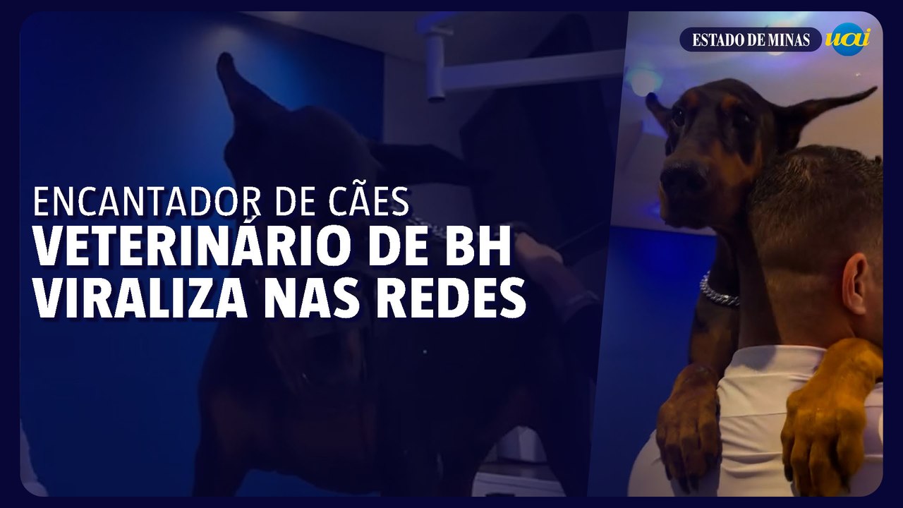 Encantador de cães: veterinário de BH viraliza acalmando cães