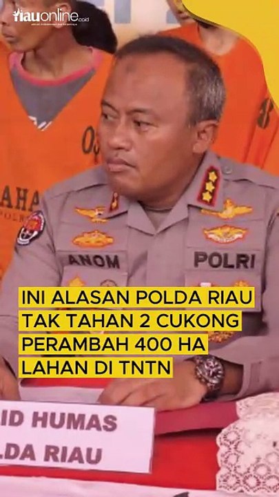 Ini Alasan Polda Riau Tak Tahan 2 Cukong Perambah 400 Ha Lahan di TNTN