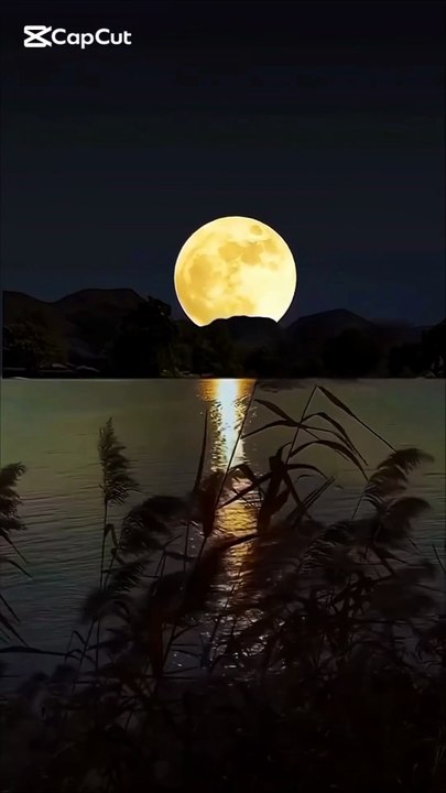 📖 Quranic Translation with Urdu Explanation