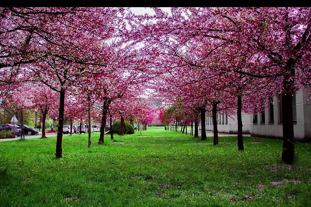 TALK TO YOURSELF JUST FOR 3 DAYS | Powerful T.D. JAKES Roberts Motivation Speech to Change Your Life