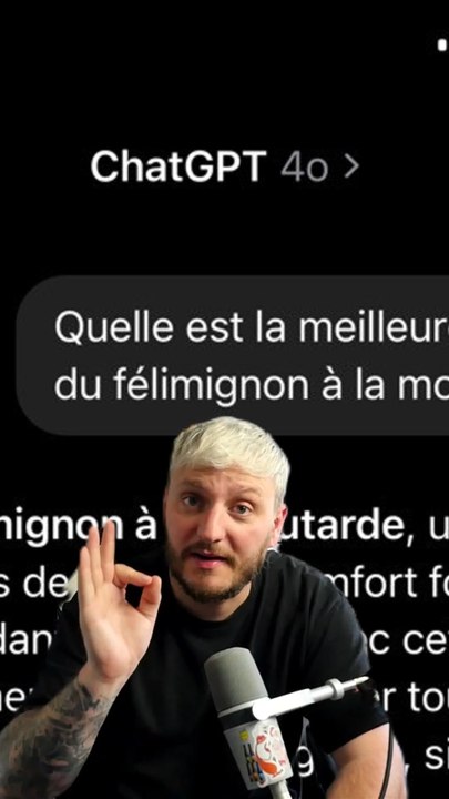 Mon chat gpt est un mega beauf