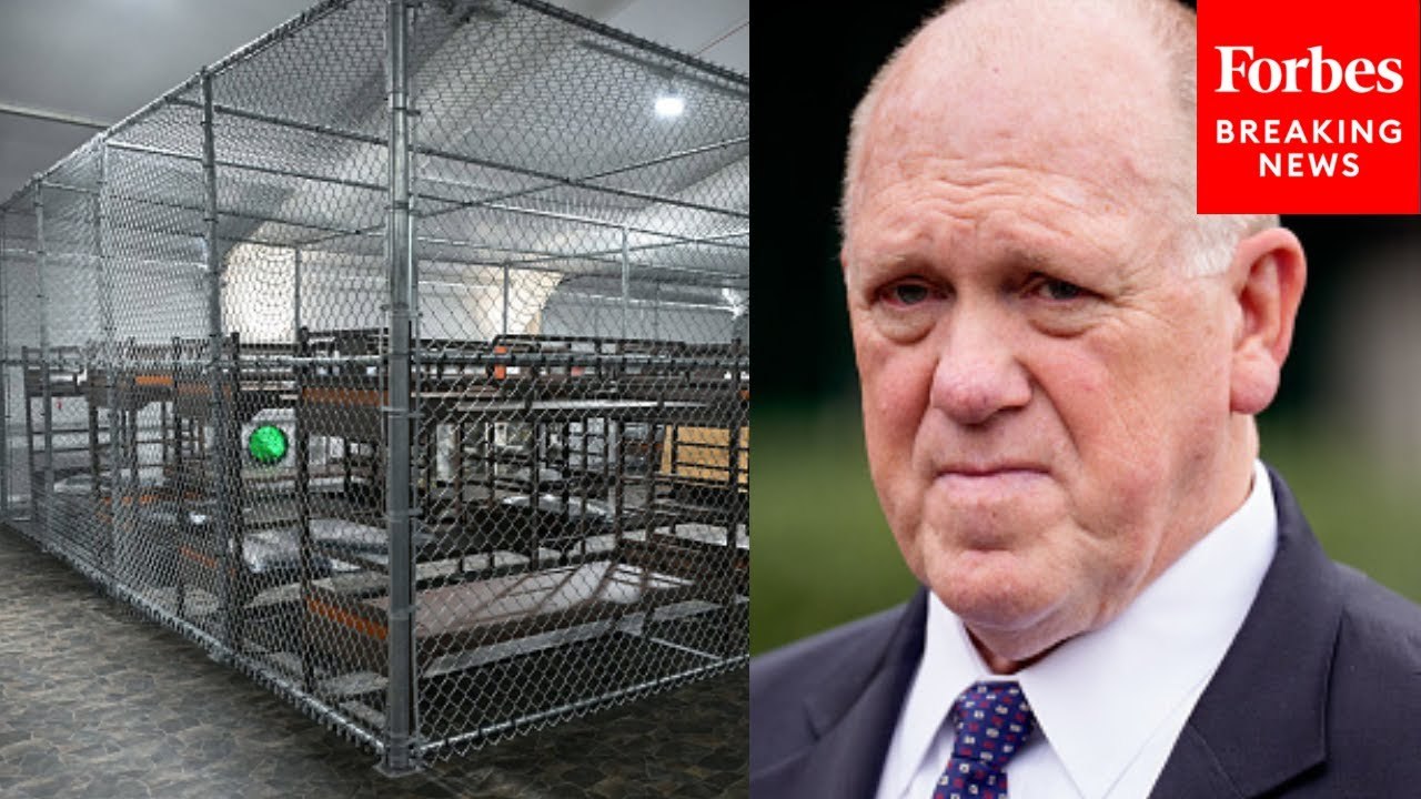 Tom Homan Asked About Democratic Lawmakers Describing Brutal Conditions At Alligator Alcatraz