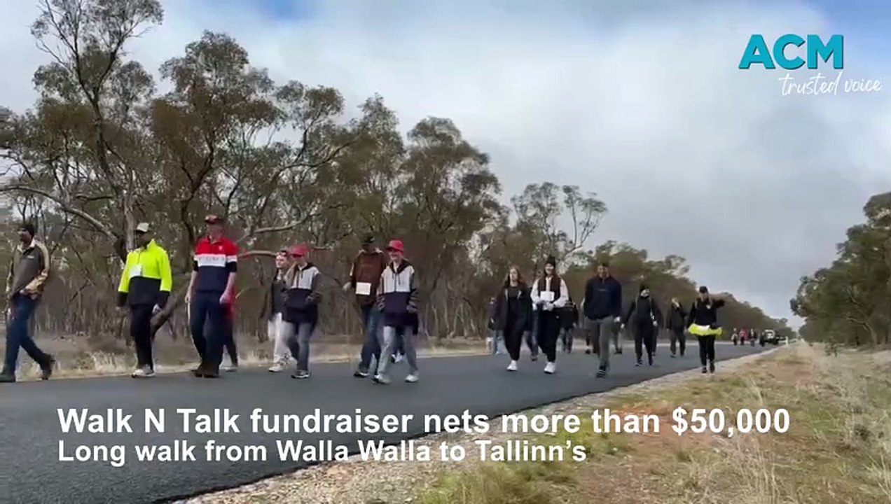 Walk N Talk fundraiser