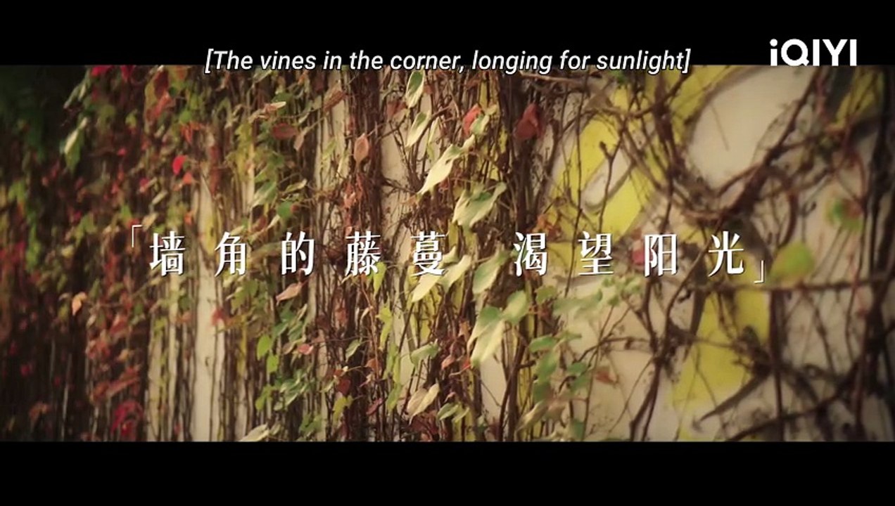 City of Romance | Official Trailer - IQIYI Romance