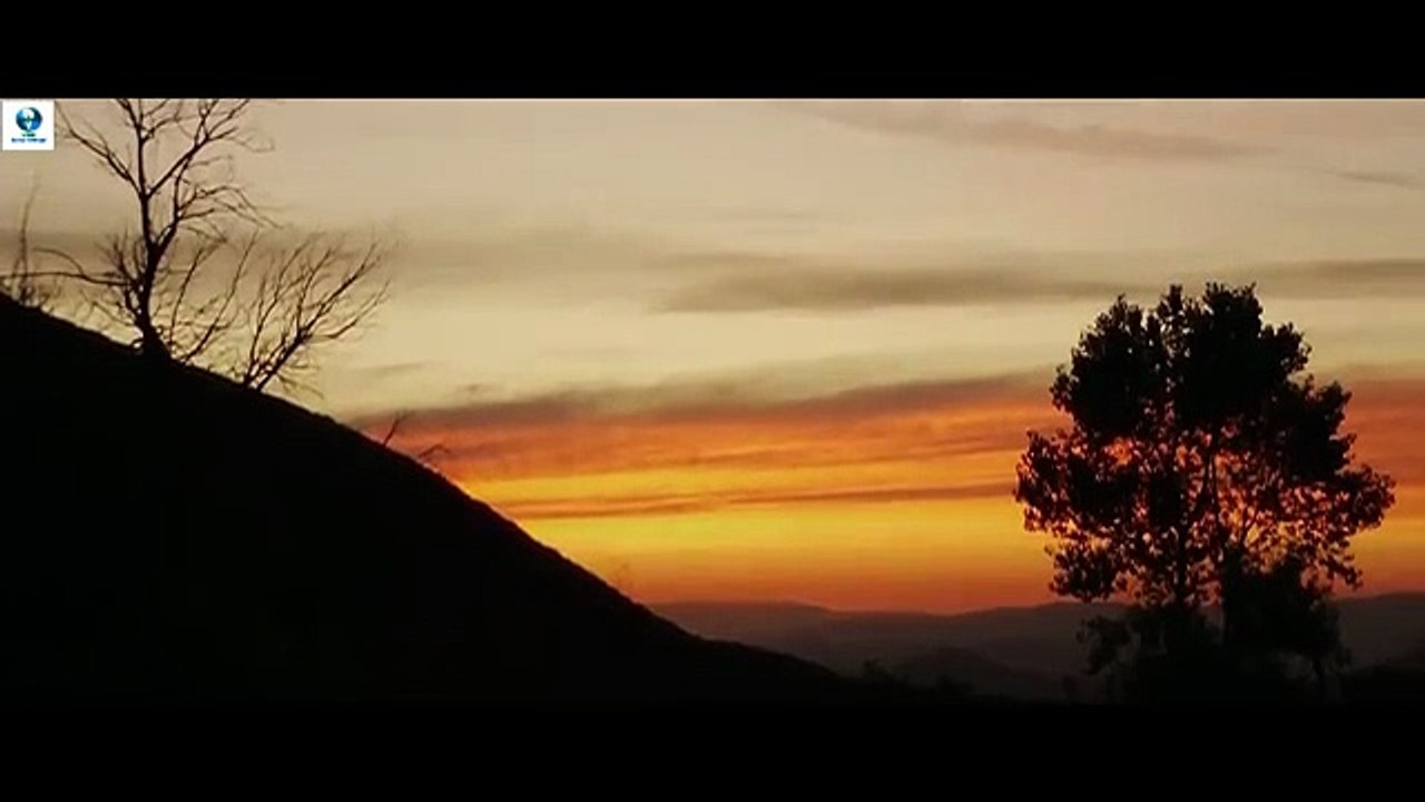 GRIZZLY - Hindi Dubbed Full Movie _ Hollywood Action Adventure Movie In Hindi Dubbed