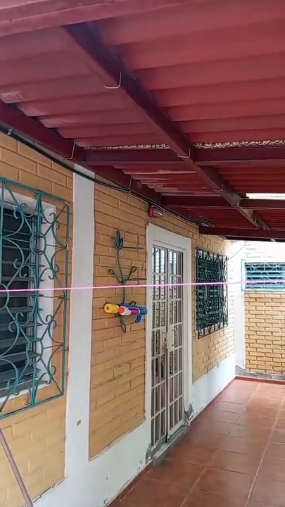 Sacan serpiente de dos metros de casas en Tegucigalpa