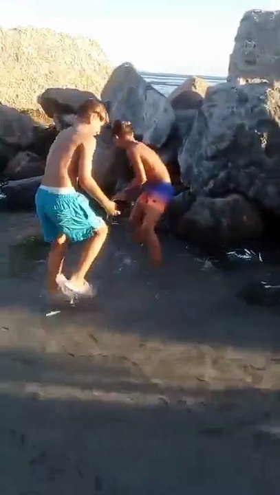 Messina, la moria di pesci al largo di Mortelle: ecco cos’è la “mangianza dei tonni”