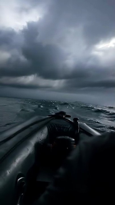 In Really Scared World Biggest  Octopus | Creepy Footage Found