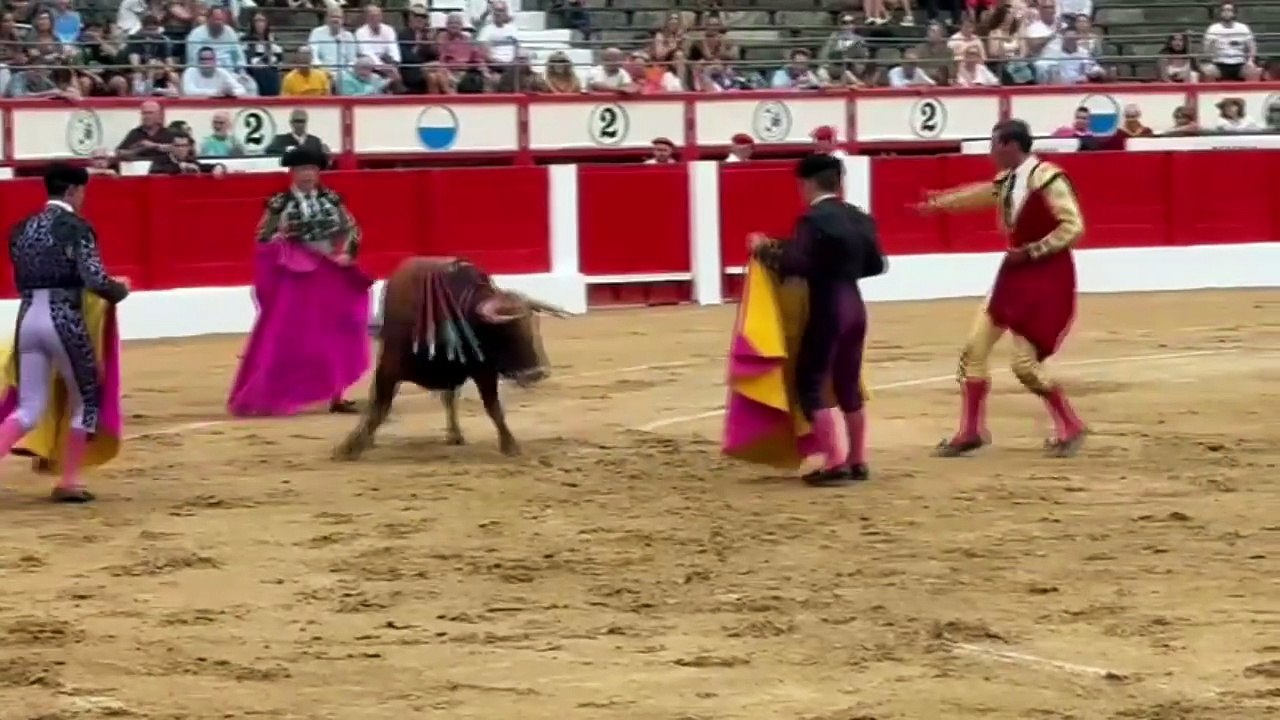 santander 19 julio 2025 NOVILLADA