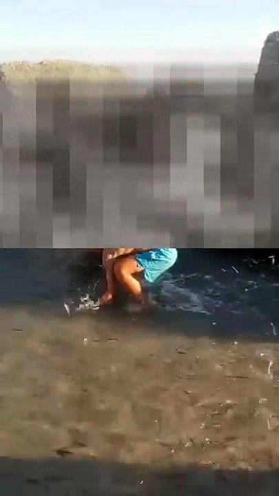 Messina, la moria di pesci al largo di Mortelle: ecco cos'è la "mangianza dei tonni"