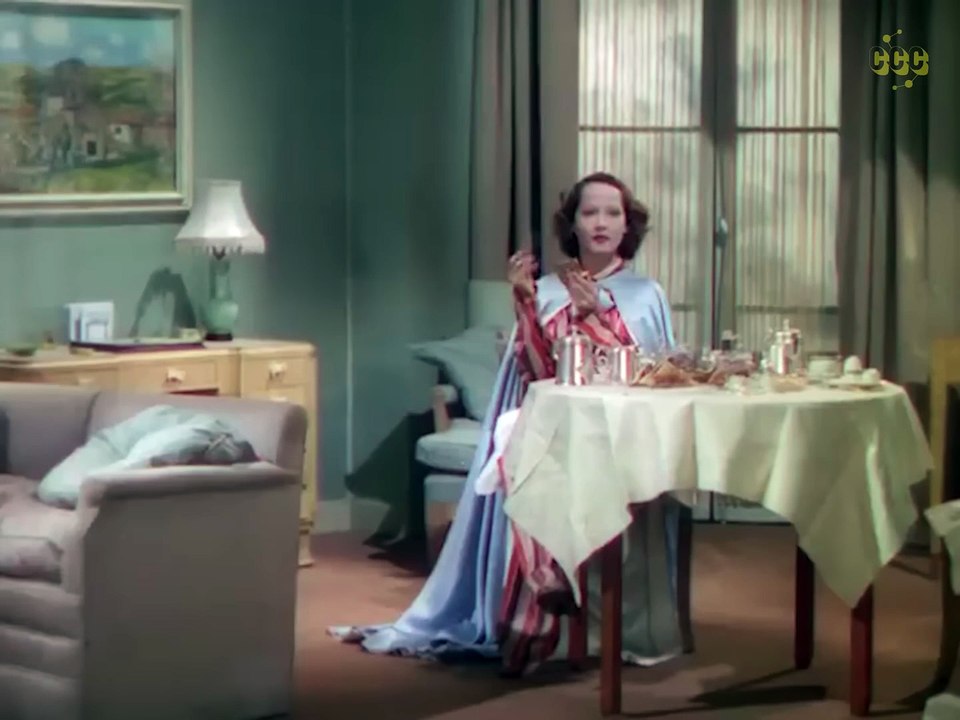 Divorce of Lady X (1936)