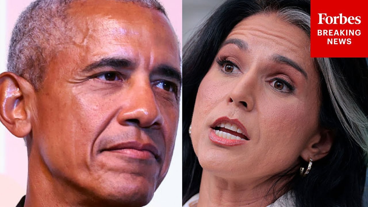 Reporter To Tulsi Gabbard: 'Do You Believe President Obama Is Guilty Of Treason?'