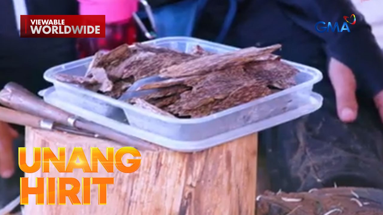 The Atom Araullo Specials: Gintong Puno | Unang Hirit