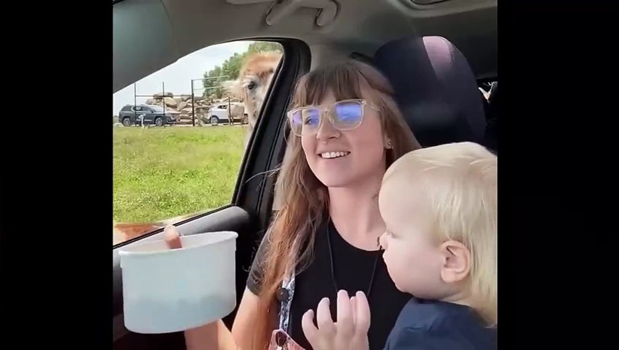 Best Funny Animal Video Compilation 2025 😂 | Try Not to Laugh Challenge