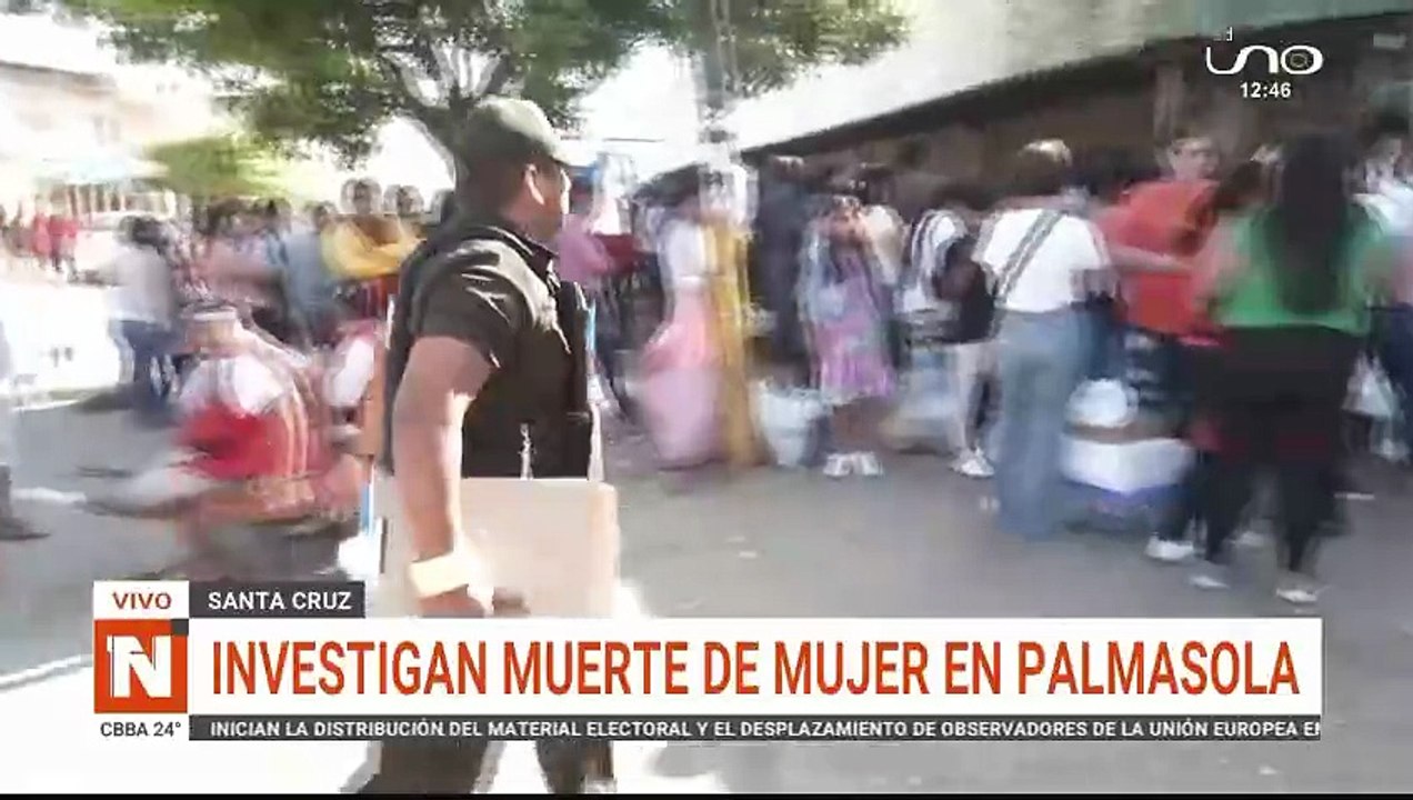 MUJER PALMASOLA