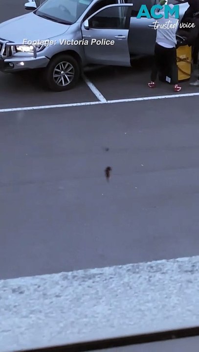 Would-be thieves sought by police after failed ATM heist