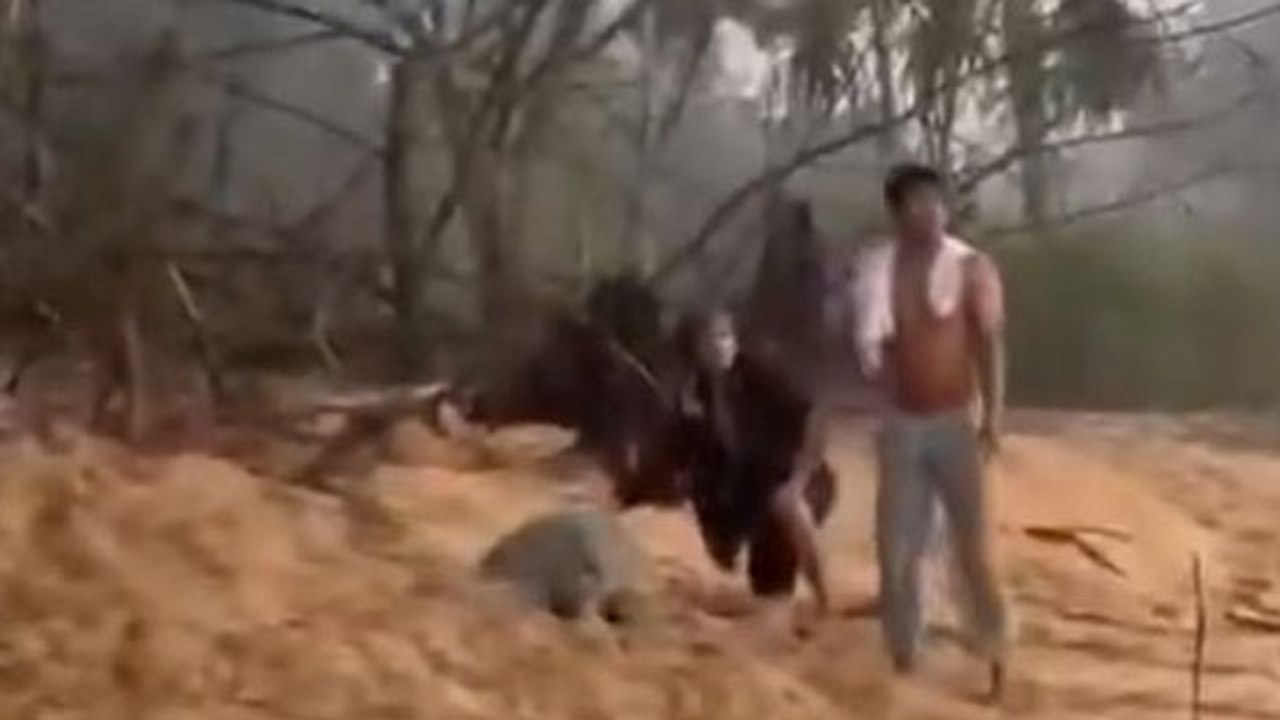 涉骚扰产卵海龟  吸毒男被捕  警追查2同伙