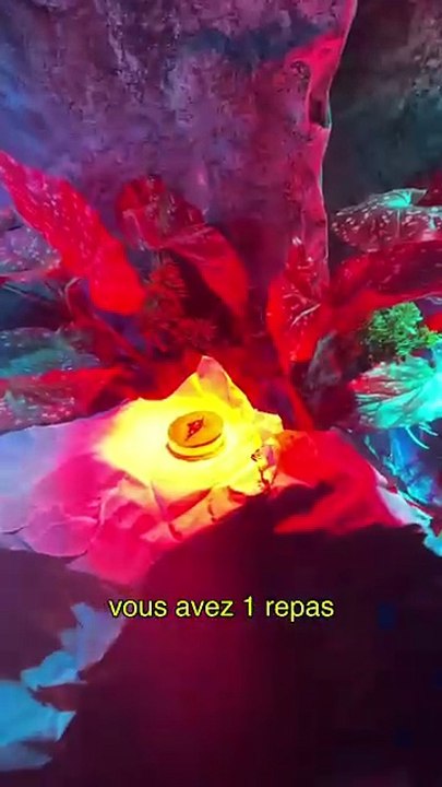 24H À TOMORROWLAND - what I eat in a day